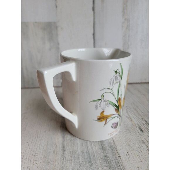 Botanic Gardens crocus meadow saffron snow drop picture flower - Picture 4 of 11